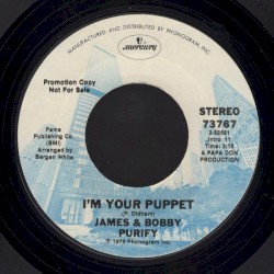 I'm Your Puppet / So Many Reasons