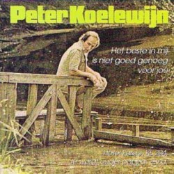 Het beste in mij is niet goed genoeg voor jou
