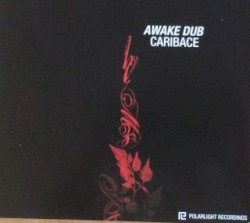 Awake Dub