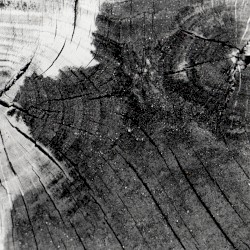 Live at Selesianské Theater Divadlo, Prague Tsjech Republic May 15th 2003