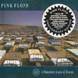 A Momentary Lapse of Reason
