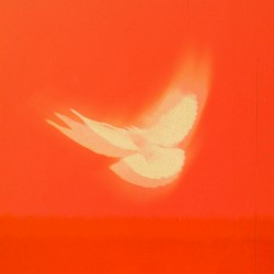 Anything Can Happen (live)