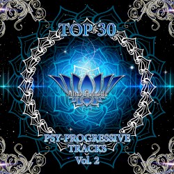 Top 30 Progressive Tracks Vol.2
