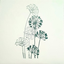 Demos, Live Recordings, & Works in Progress