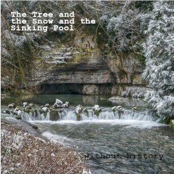 The Tree and the Snow and the Sinking Pool