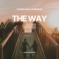 The Way I Are (Techno remix)