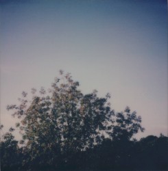 where i go you cannot follow