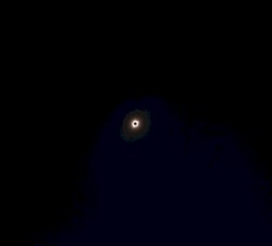 Illusion- Eclipse live