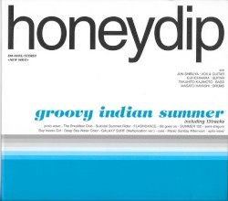 groovy indian summer