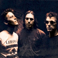 1994-05-23 Pinkpop Festival, Landgraaf, Netherlands