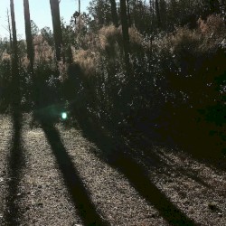 我将使用任何想要创建自己的歌曲的歌曲。(Use Whatever Songs You Want to Create Your Own)