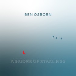 A Bridge of Starlings