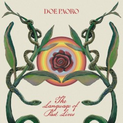 The Language of Past Lives