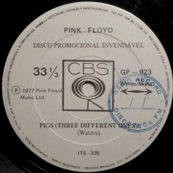 Pigs (Three Different Ones)