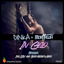 In Caelo Remixes Part 1