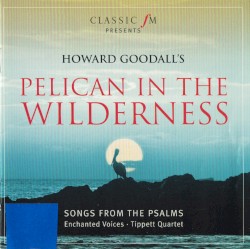 Pelican In The Wilderness