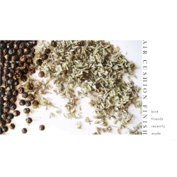 Bird Friends Recently Made