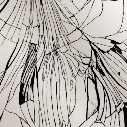 Duality Tears
