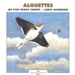 Alouettes / Larks Ascending