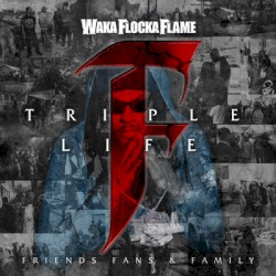 Triple F Life: Friends Fans & Family
