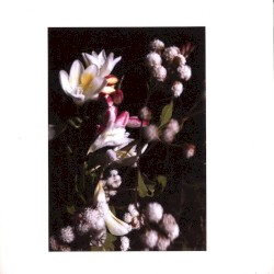 Fog on My Brain / Figure It Out