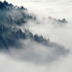 Intrinsic Nature