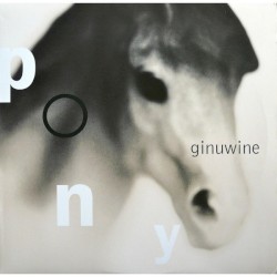 Pony