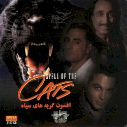 افسون گربه های سیاه = Spell Of The Cats
