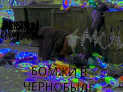 Бомжи В Чернобыле