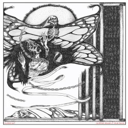 Clipped Beaks / Silk Panic