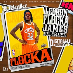 LeBron Flocka James