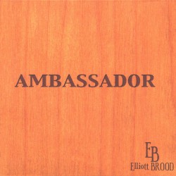 Ambassador