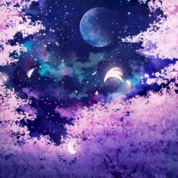 Blossom