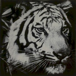 The Greats and the Happenings