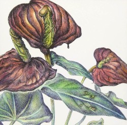 ある職業病への見解と、それに伴う不条理な事象とか