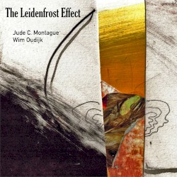 The Leidenfrost Effect