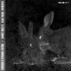 Rabbit Hole (Remixes)