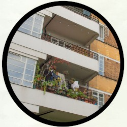 Southside Summer / Wooly Road Creep / Love Life / Lost