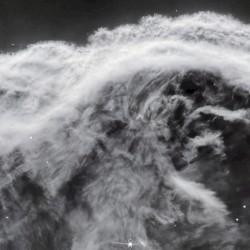 Selected Spectral Works 7