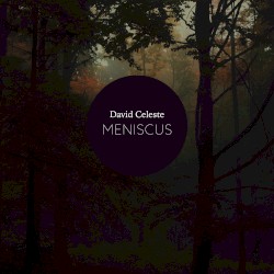 Meniscus