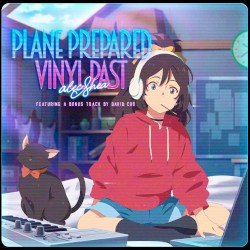 Plane Prepared Vinyl Past