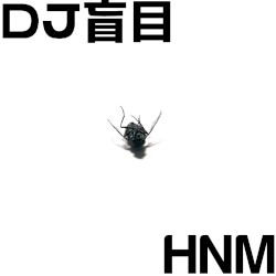 DJ盲目 / Harsh Noise Movement
