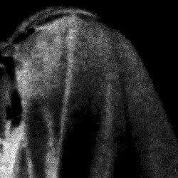 Trigger Happy for Maximum Oppression