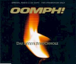 Das letzte Streichholz