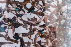 Exploit Your Natural Beauty