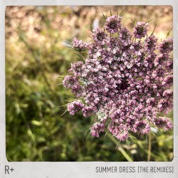 Summer Dress (The Remixes)