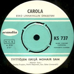 Tyttöjen iskijä Mohair Sam / Kesäkuume