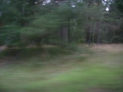 centrinis s. [TT22ra]