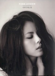 나무가 되는 꿈