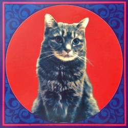 The No Music of Aiff's: The No Music Remixed